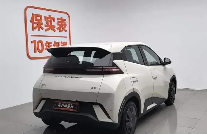 
								Seagull 2026 Vitality Edition full									