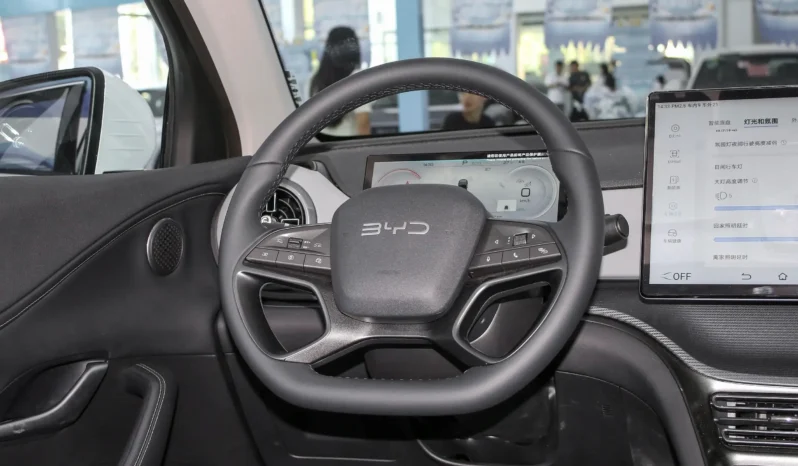 
								BYD Sea Lion 05 DM full									