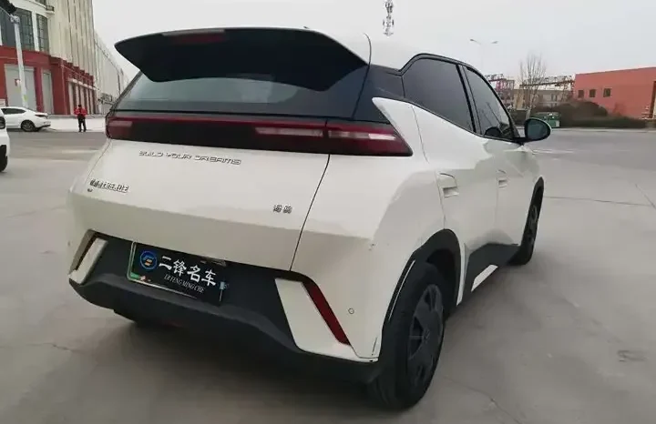 
								Seagull 2026 Honor Edition 305km Vitality Edition full									