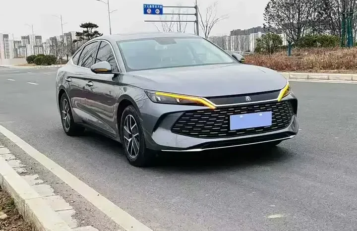 
								Qin L 2026 DM-i 120KM leading model full									