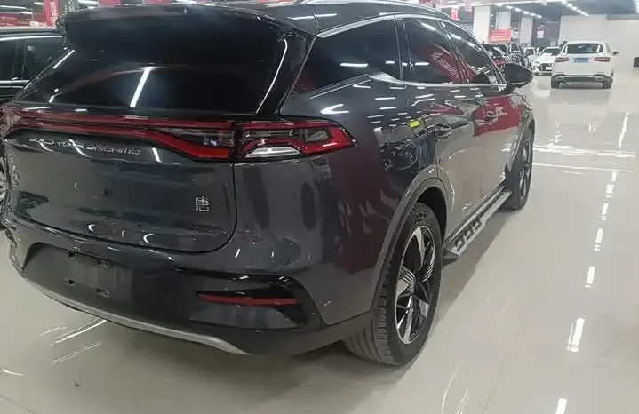 
								Tang New Energy 20236 DM-i Champion Edition 112KM Honor Type full									