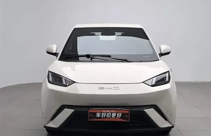 
								Seagull 2026 Vitality Edition full									