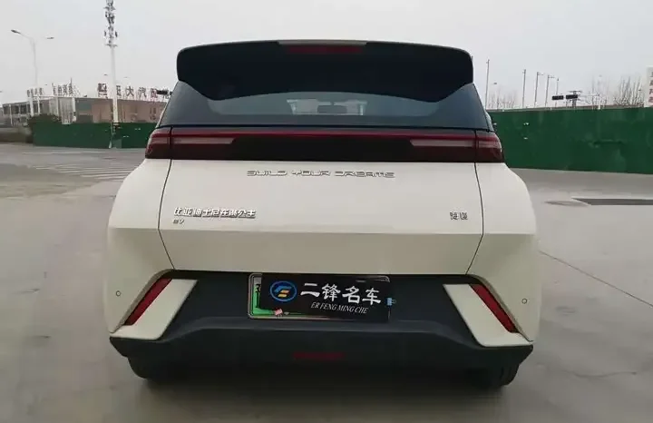 
								Seagull 2026 Honor Edition 305km Vitality Edition full									