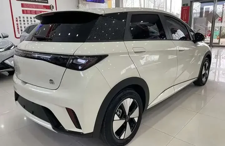 
								Dolphin 2026 420km fashion version full									